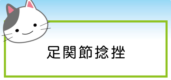 治療方法などについて